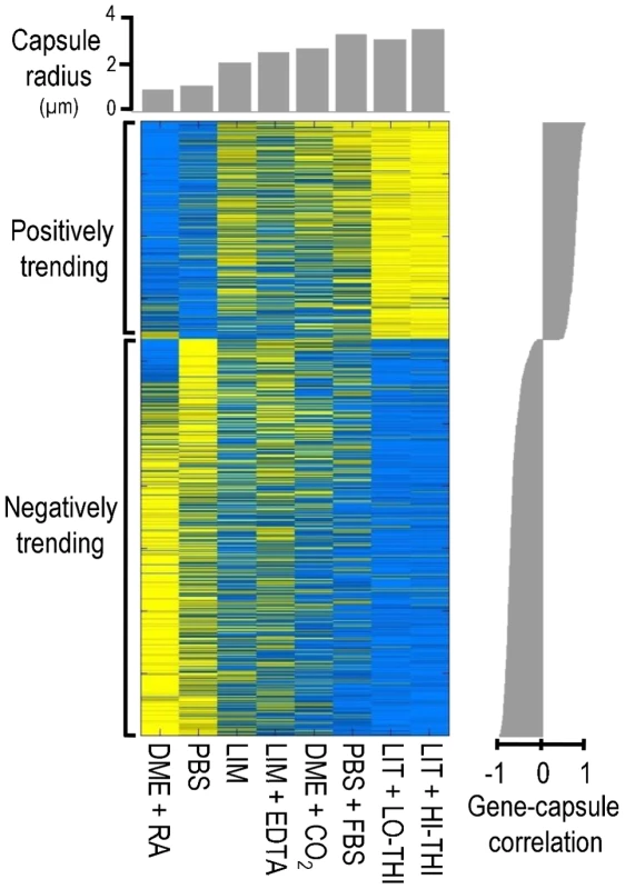 The transcriptional signature of capsule induction.