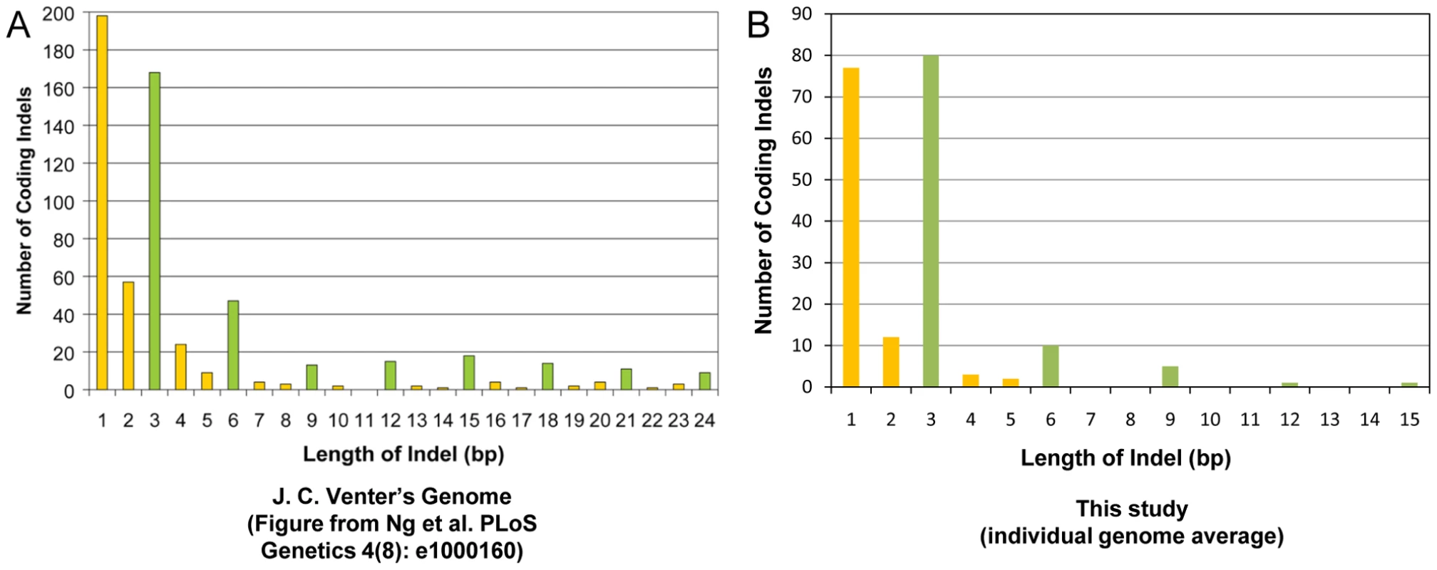 Coding indel length distribution.