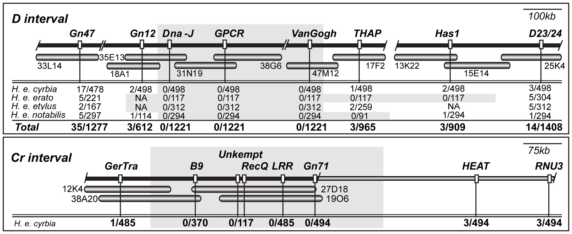 BAC tile paths and fine mapping across the <i>D</i> and <i>Cr</i> color pattern intervals.