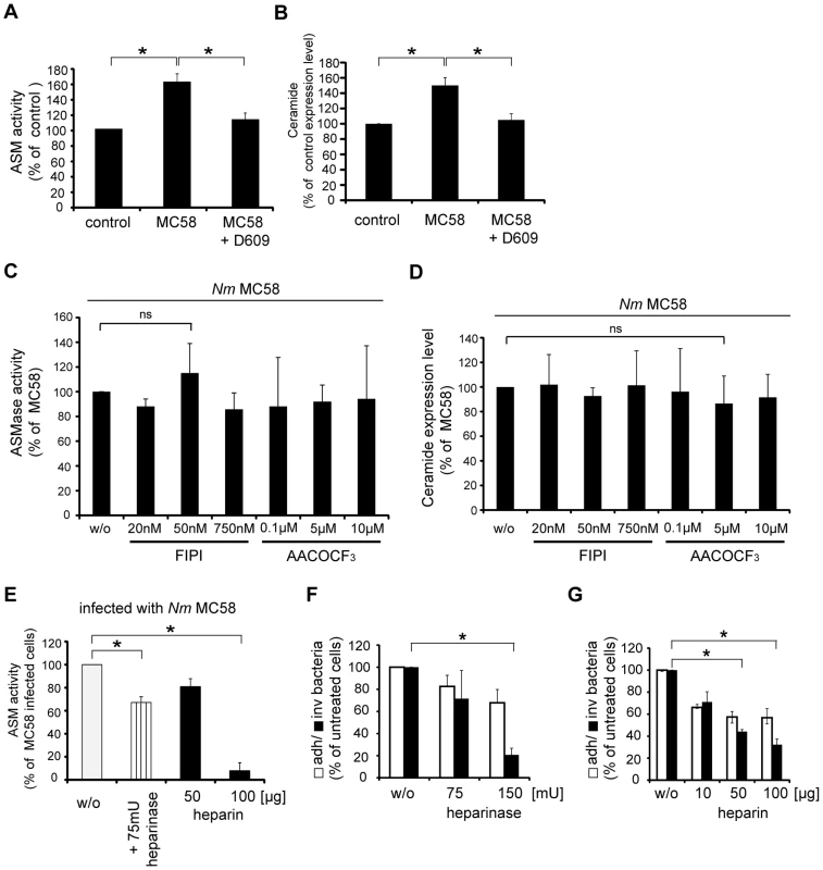 Phosphatidylcholine-specific phospholipase C (PC-PLC) is involved in ASM activation and bacterial uptake by HBMEC.