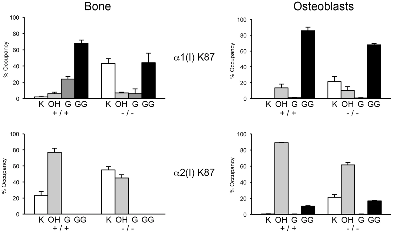 Altered post-translational modification of specific type I collagen lysine residues in the absence of Ppib.