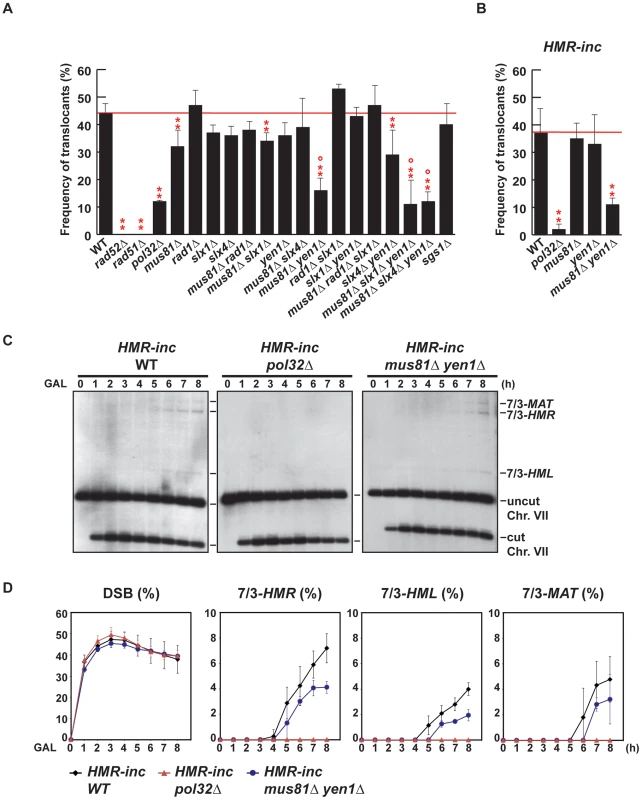 Genetic analysis of BIR intermediates processing in SSE mutants.