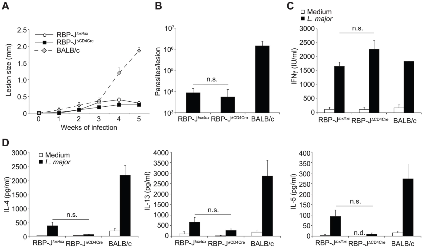 The impact of Notch signaling on Th1 differentiation is RBP-Jκ-independent.