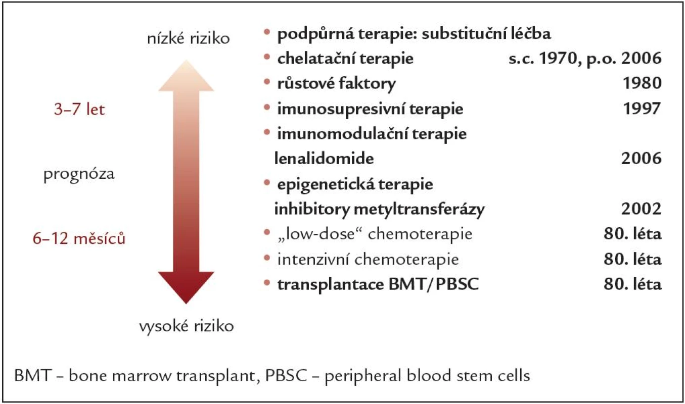 Základní terapeutické možnosti MDS – vývoj.
