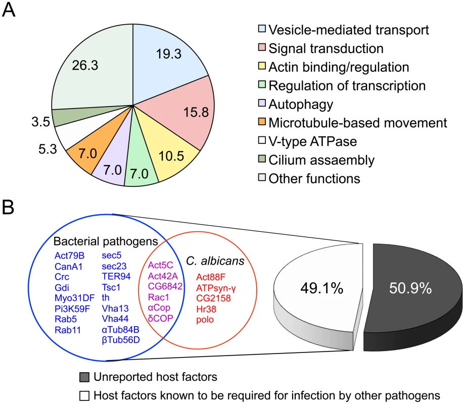 Identification of host factors regulating <i>Cryptococcus neoformans</i> infection.