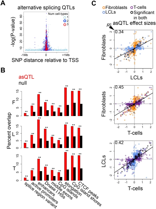 Genetic effects on alternative splicing.