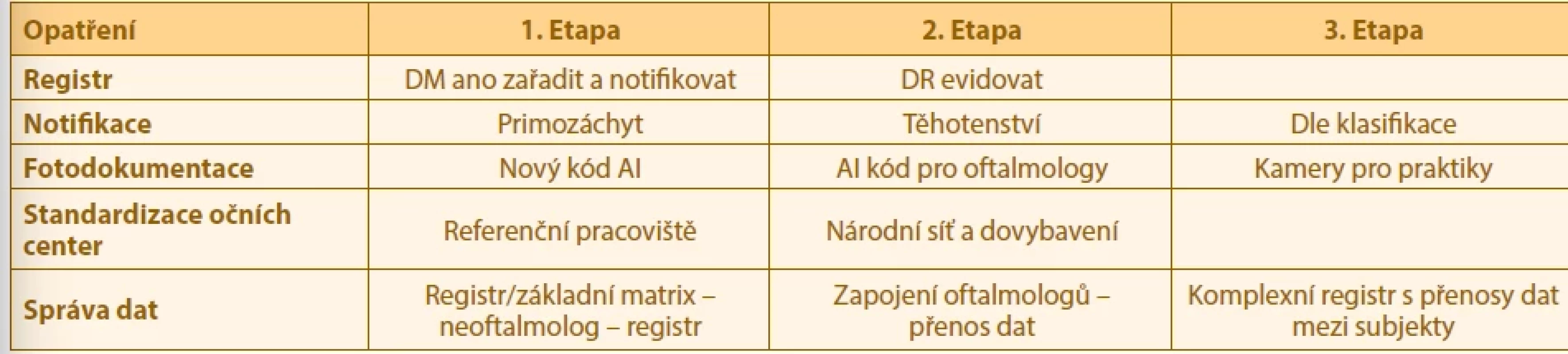 Doporučená další opatření ke zlepšení screeningu DR a DME