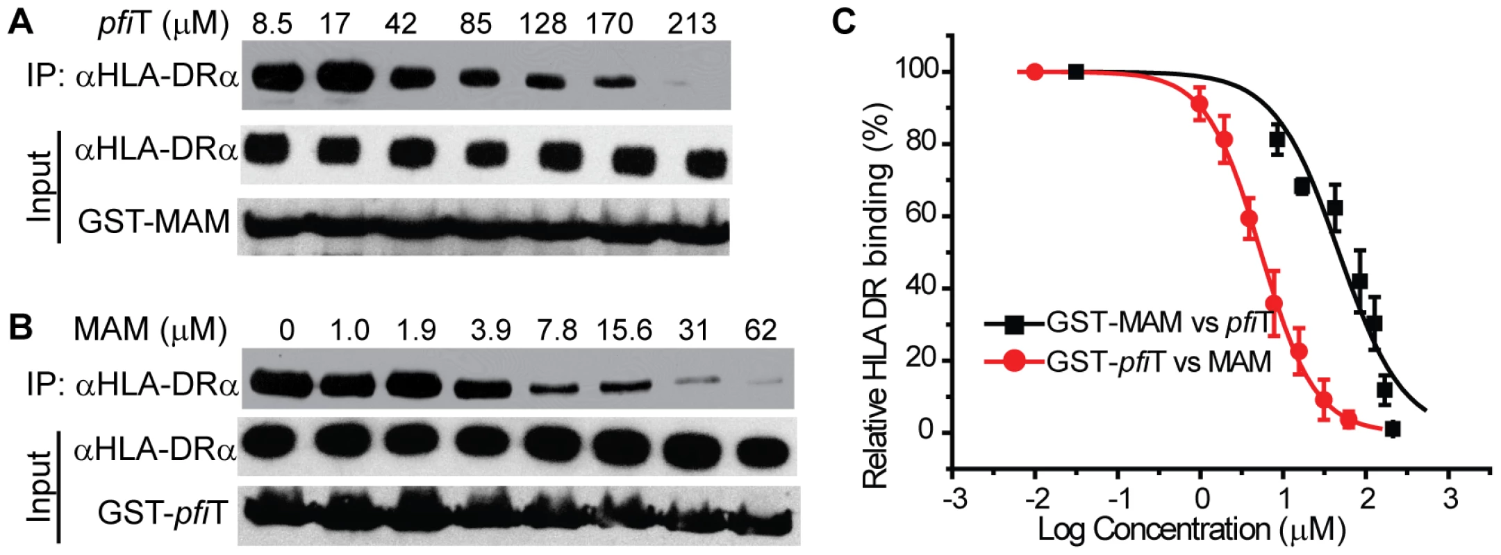 The binding site on HLA-DR for <i>pfi</i>T overlaps with that for MAM.