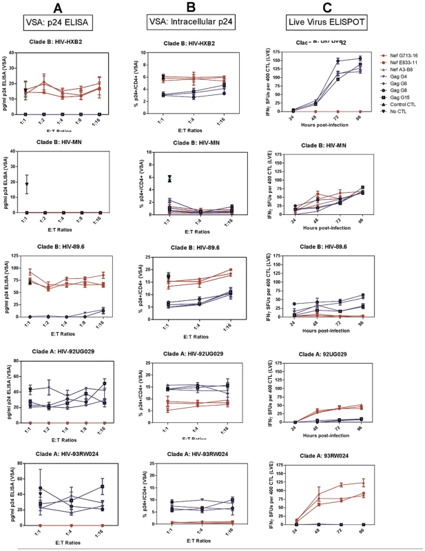 Despite the identical FL8 epitope, only 3/5 viruses tested induced effective FL8-specific antiviral responses.