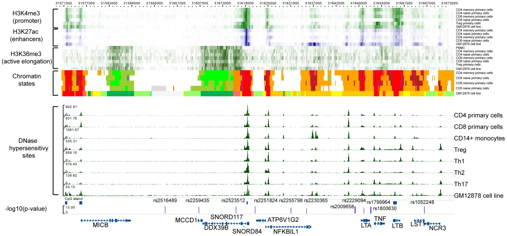 Functional annotation of the <i>MICB-LST1</i>.
