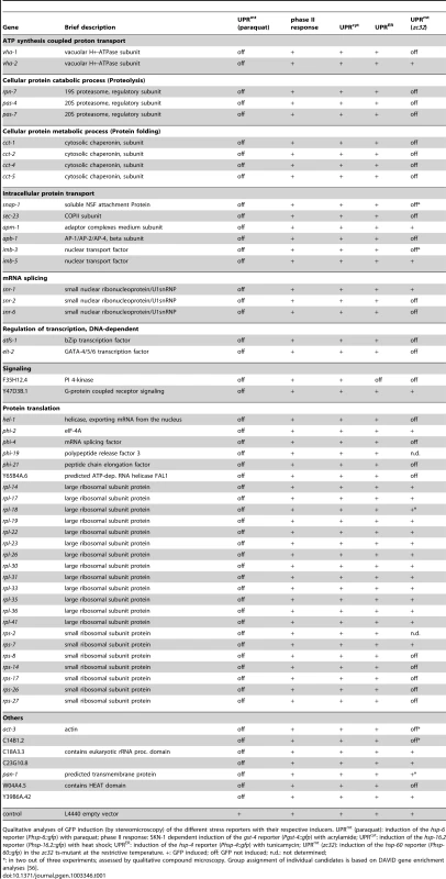 55 screening positives and their involvement in other cellular stress pathways.