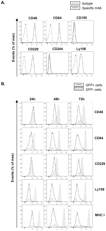 MCMV infection leads to reduced expression of SLAM receptors on the macrophage surface.