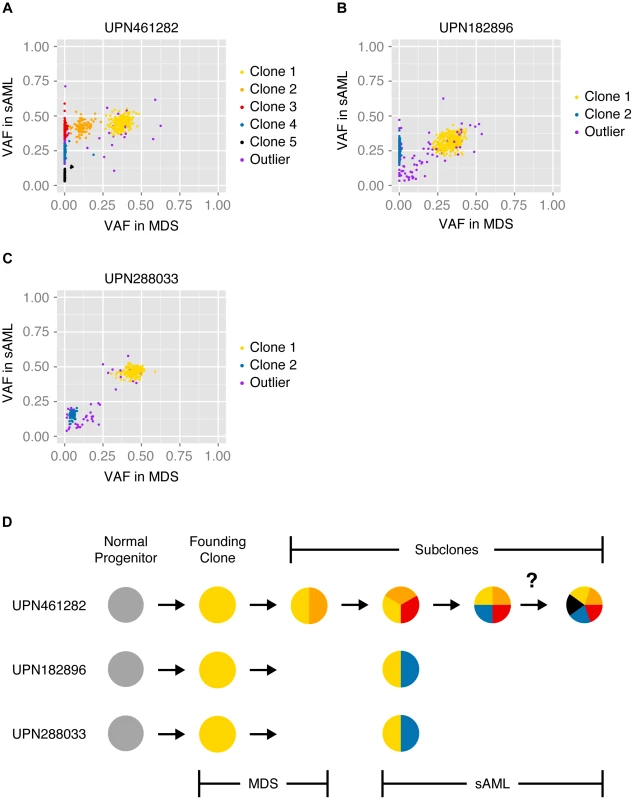 Model of tumor clonality predicted from unfractionated samples.
