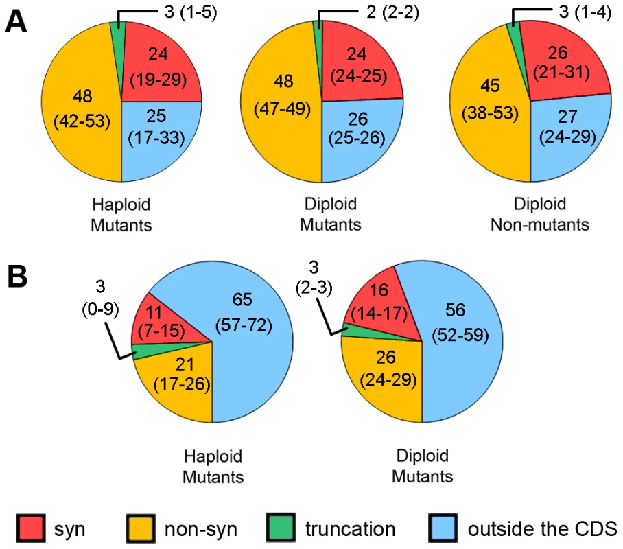 Predicted effects of SNVs on proteins in different types of clones.