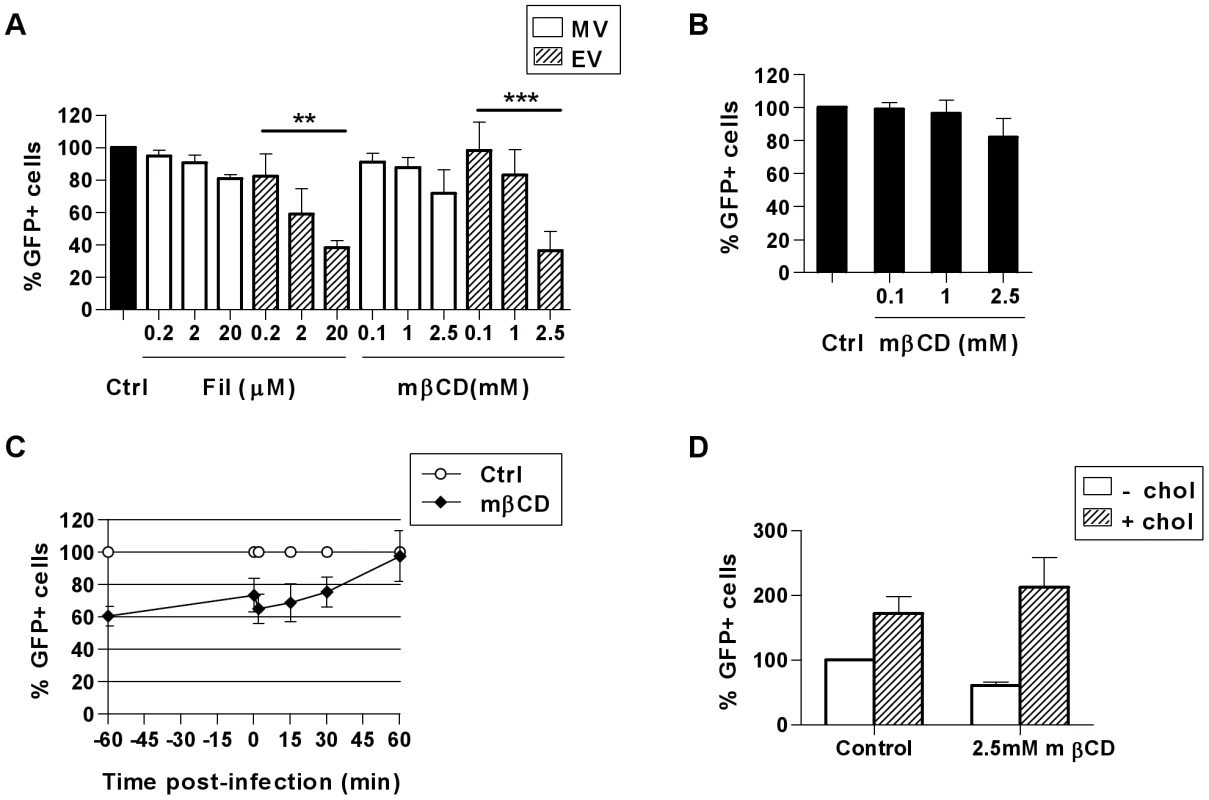 VACV entry in MDDCs is dependent on cholesterol.