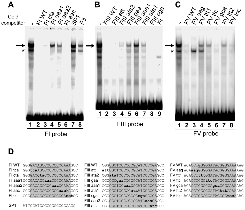 Nuclear proteins specifically interact with the dG-dC strings at HS4 footprints I, III, and V.