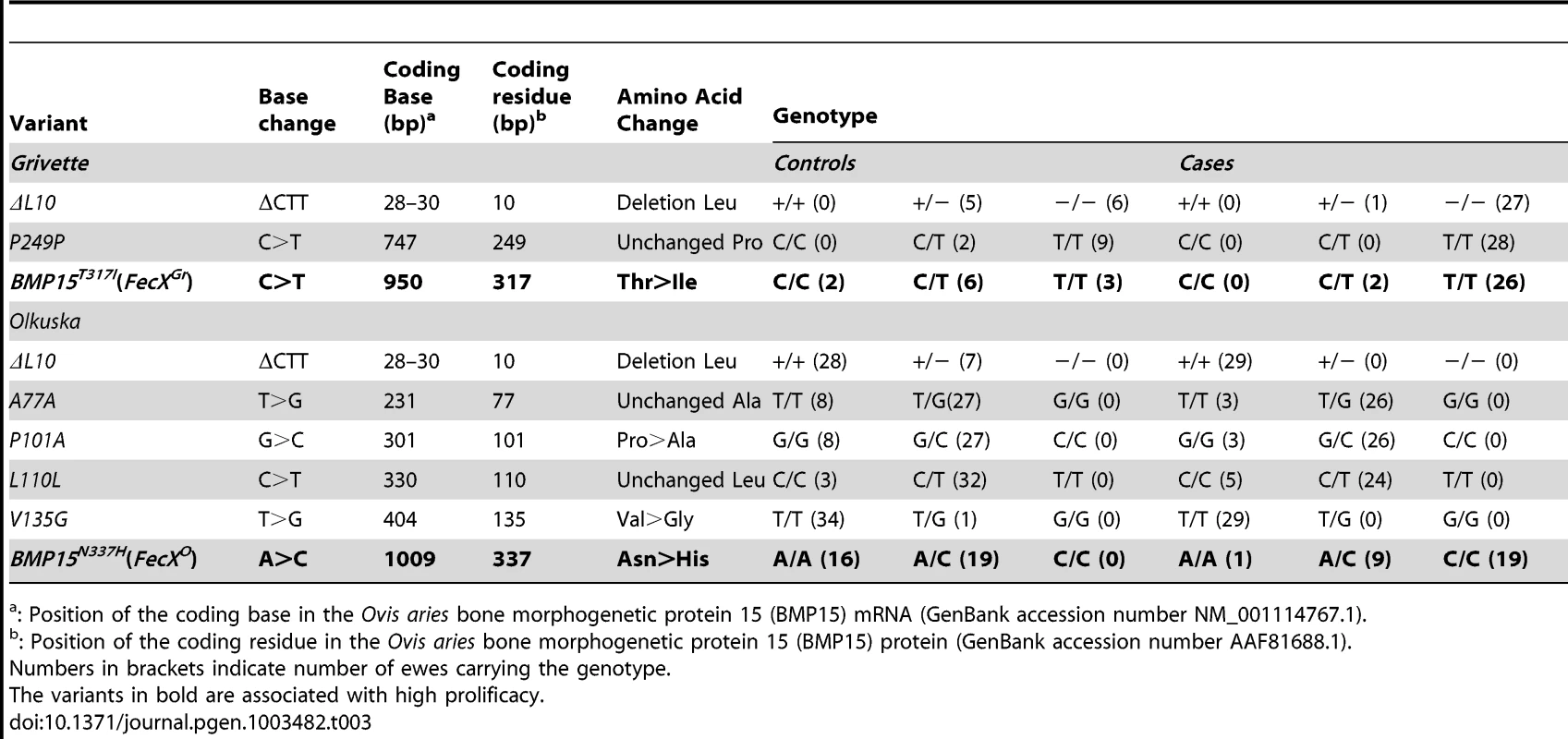 BMP15 genetic variants identified in the Grivette and the Olkuska populations.
