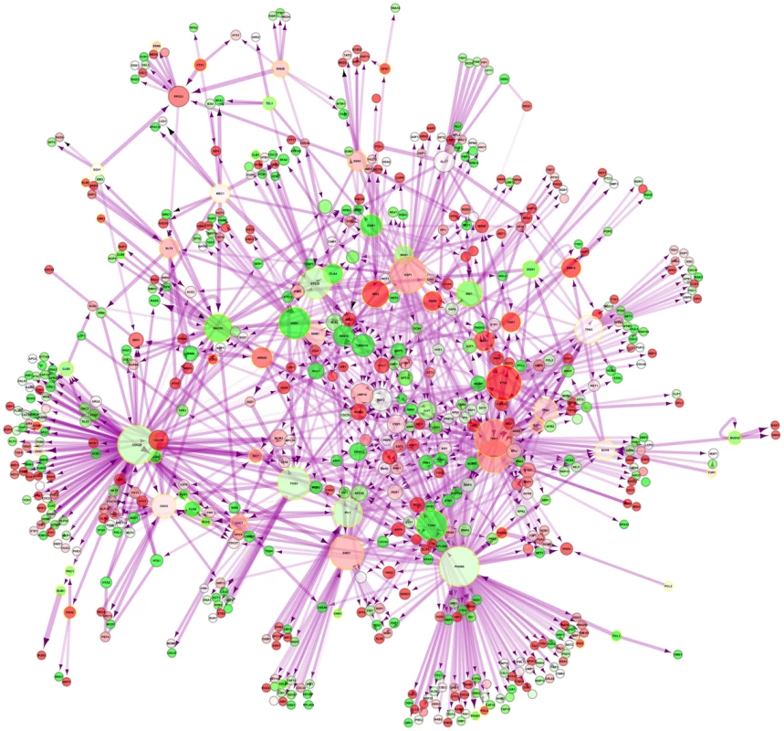 Nuclear phosphorylation network of yeast.