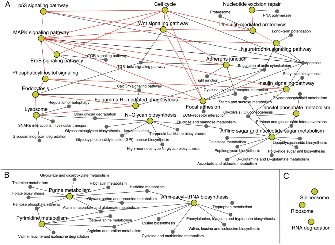 Network of overrepresented and other related KEGG pathways identified using SWI/SNF ChIP-Seq union regions.