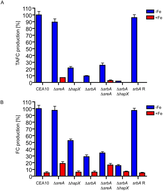 SrbA activates extracellular and intracellular siderophore production independent of SreA and HapX.