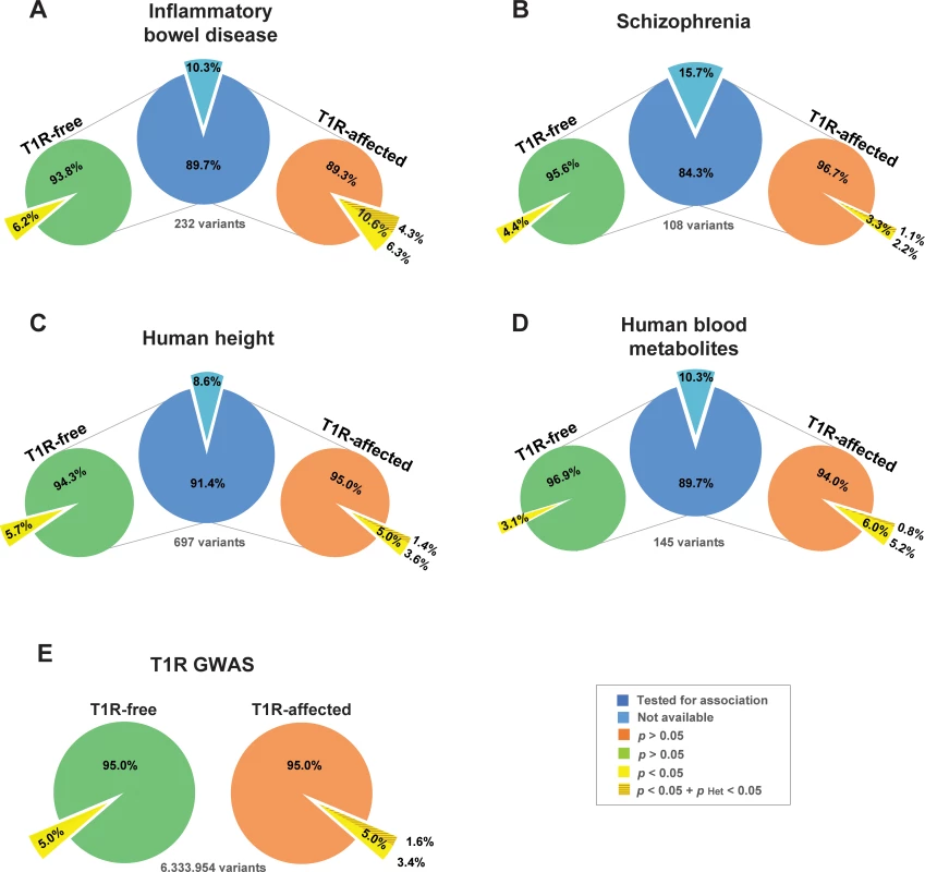 Enrichment of shared risk-alleles associated with T1R leprosy and IBD phenotypes.