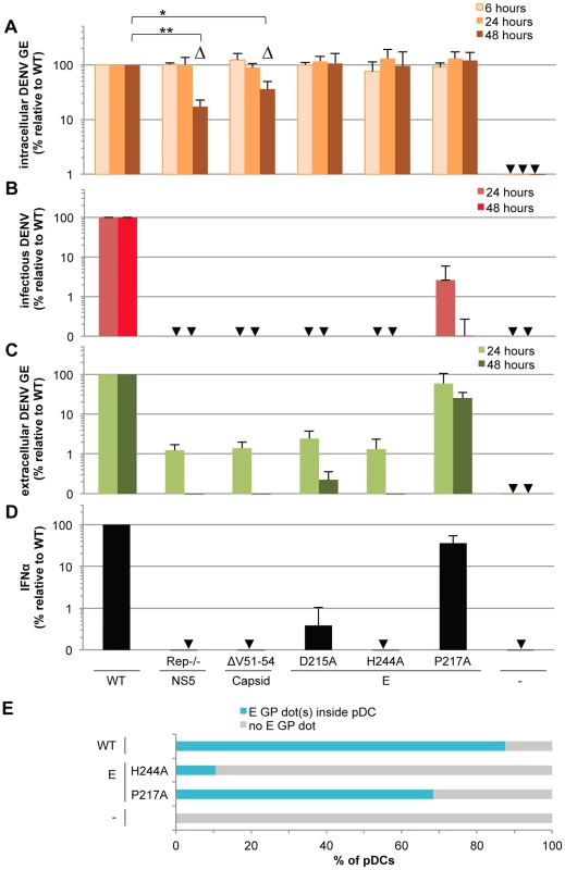 Viral functions required for pDC IFNα production triggered by DENV infected cells.
