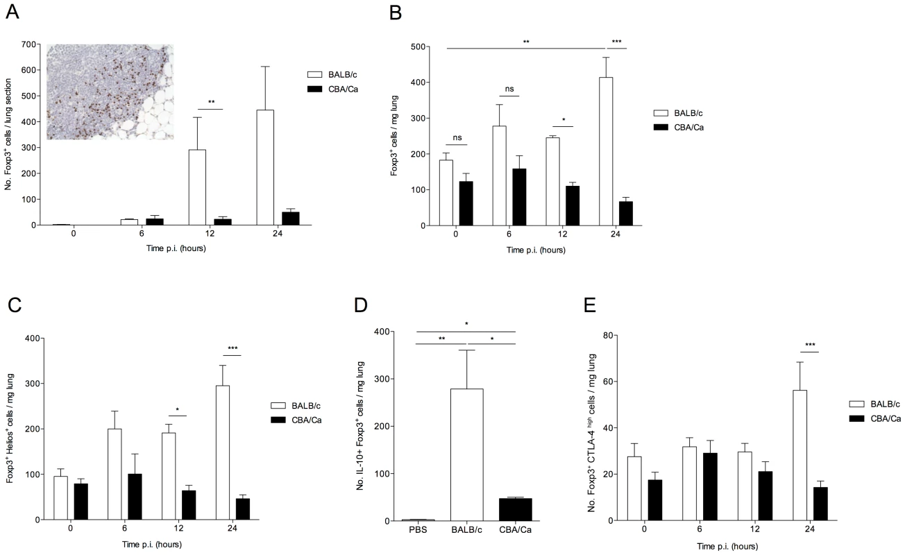 IL-10-producing natural T regulatory cells are rapidly recruited to the lung in <i>S. pneumoniae</i>-infected BALB/c mice.