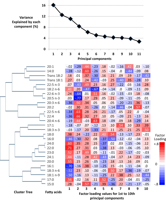 Principal components and clusters of 27 fatty acids in the EPIC-InterAct sub-cohort (<i>n</i> = 15,919).