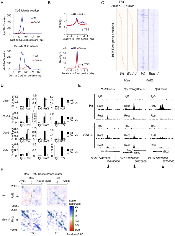 The recruitment of PRC1 at a number of Rest binding sites is independent of PRC2 activity in mES cells.