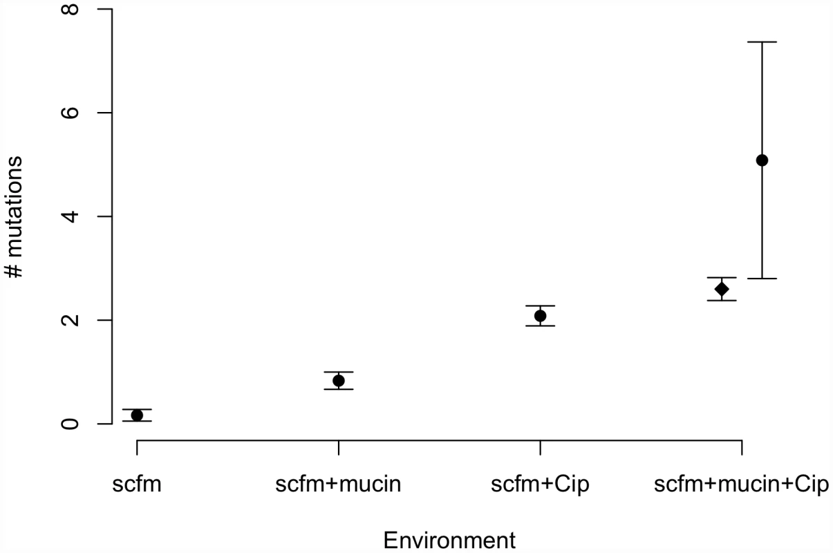 Numbers of mutations identified in evolved genotypes.