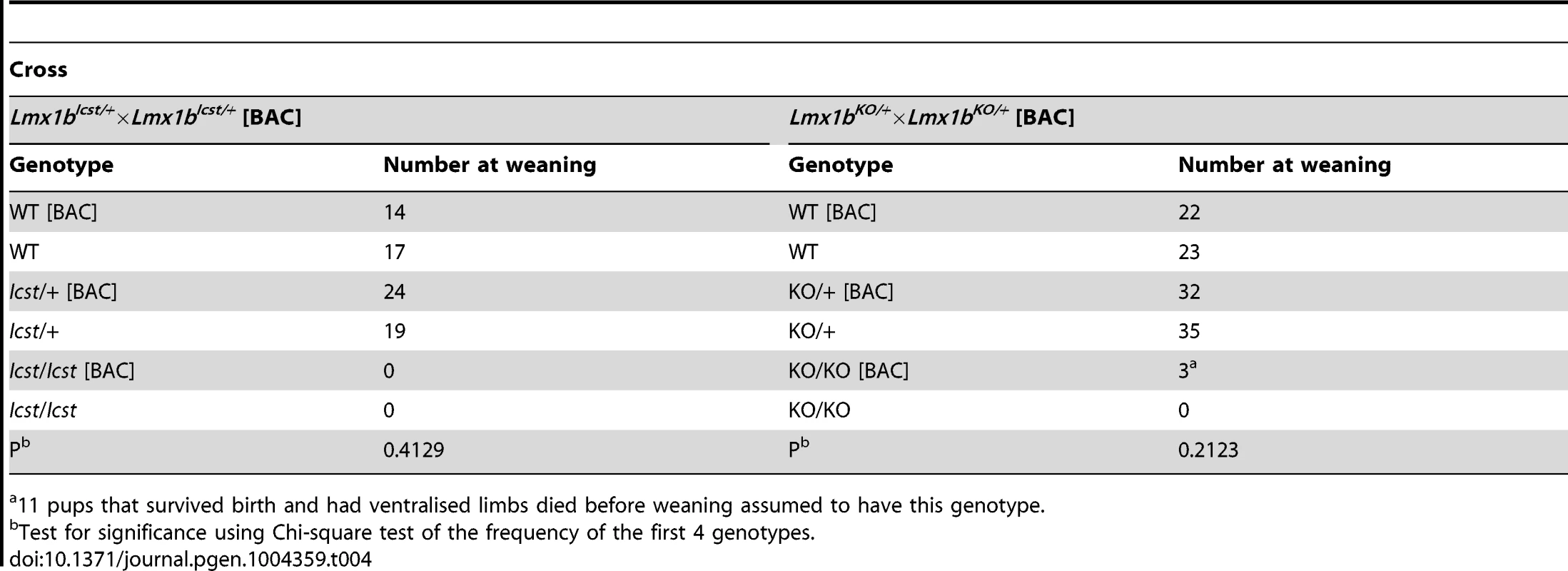 The transgenic BAC rescues the <i>Icst</i> heterozygous semi-lethal phenotype but not the homozygous lethal phenotype and can rescue the knockout homozygous lethal phenotype.