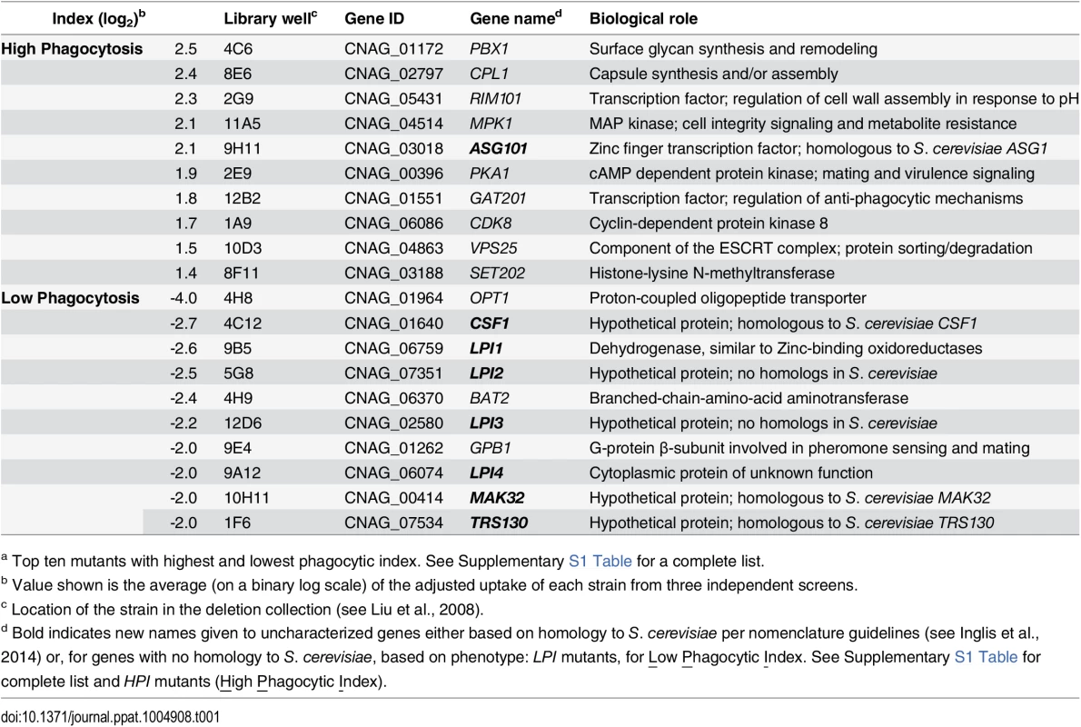 <i>C. neoformans</i> mutants showing altered interactions with macrophages.<em class="ref"><sup>a</sup></em>