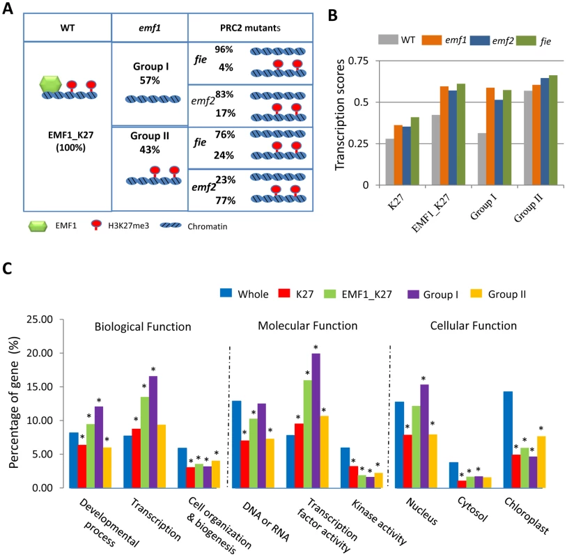 Functional analysis of groups of genes based on EMF1 binding and H3K27me3.