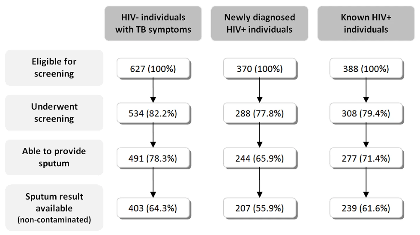 Flowchart of individuals participating in the study.