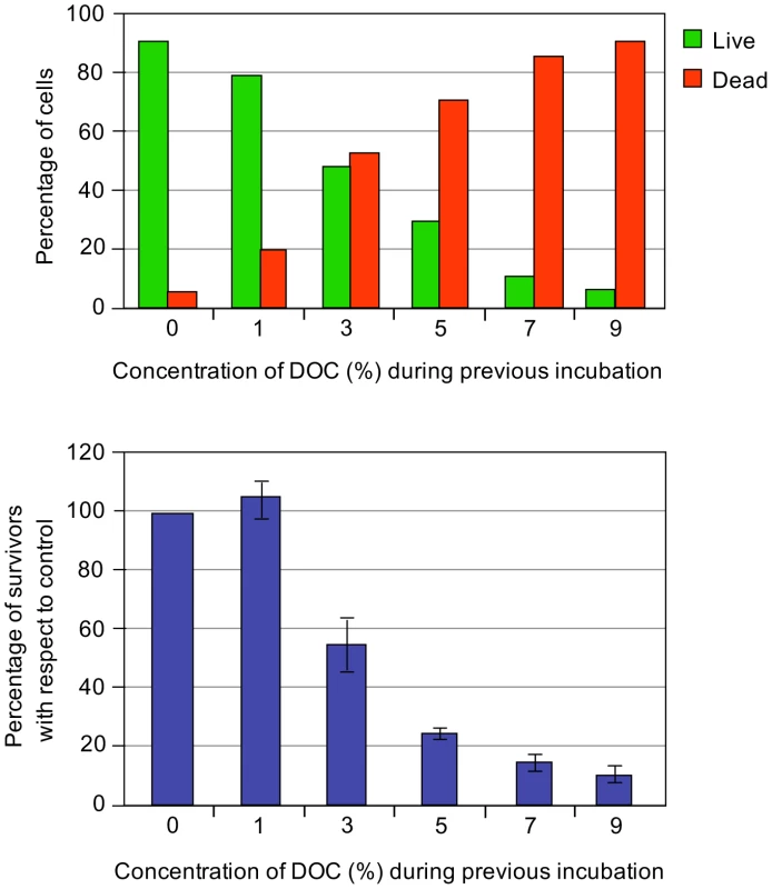 Percentages of live and dead bacteria and relative numbers of colony-forming units.