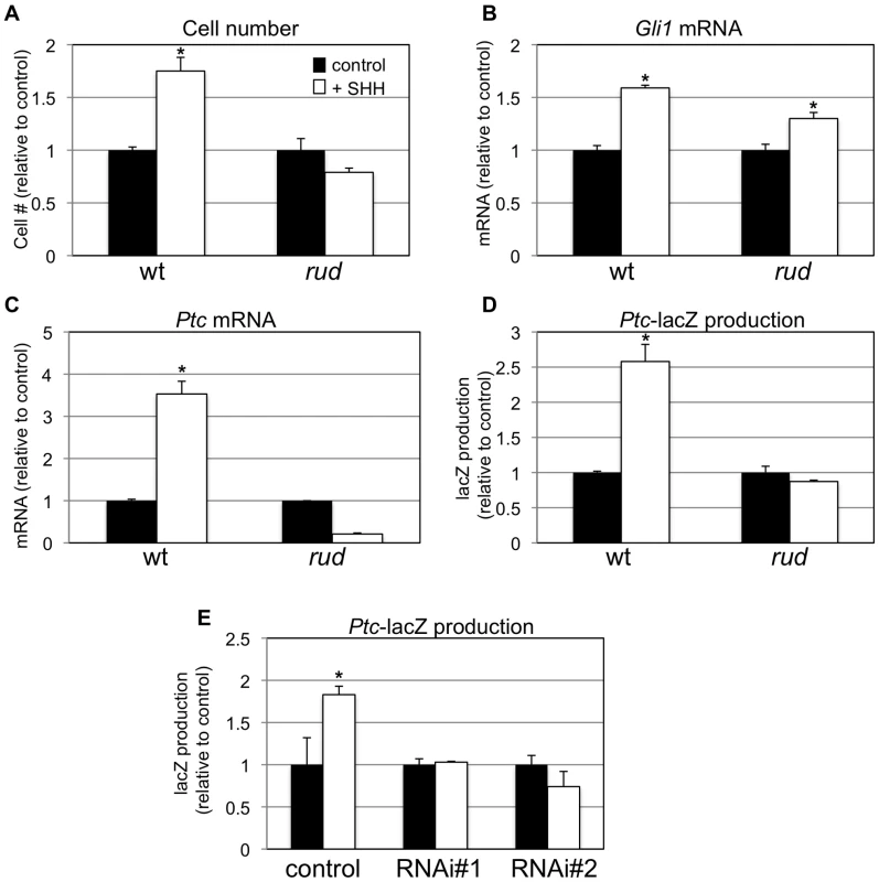 <i>Sonic hedgehog</i> signal transduction is abnormal in <i>rudolph</i> cells.