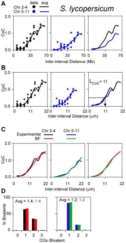 Experimental and BF analysis of CO patterns in tomato.
