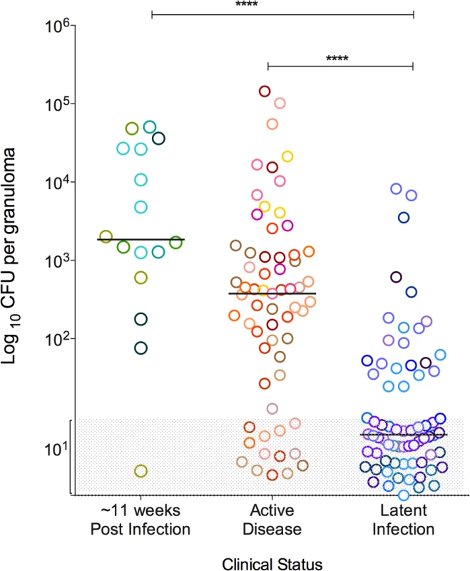 Bacterial burden of individual granulomas.