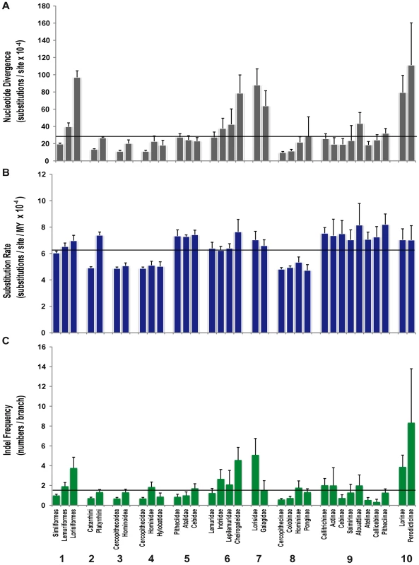 Patterns of nucleotide substitution and indel frequency in different categories of primate taxonomy.