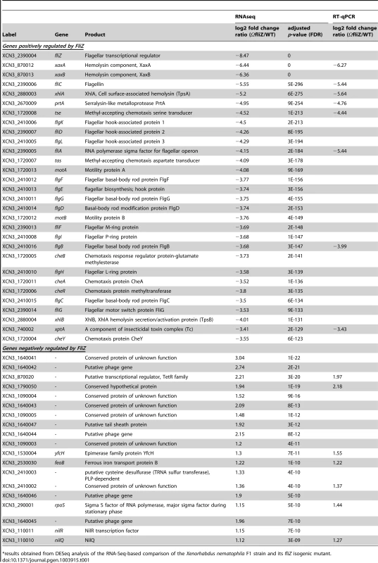 Genes differentially transcribed between the wild type F1 strain and the ΩfliZ mutant in exponentially growing cells, as a function of decreasing adjusted <i>P</i> value<em class="ref">*</em>.