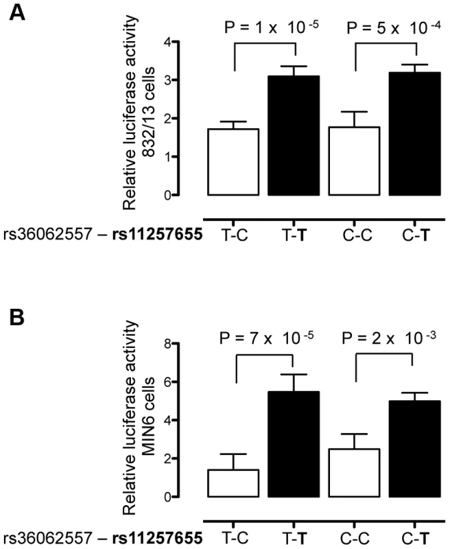 rs11257655 drives differential transcriptional activity.
