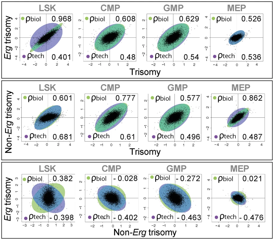 Biological correlation of gene expression changes using gene association analysis.
