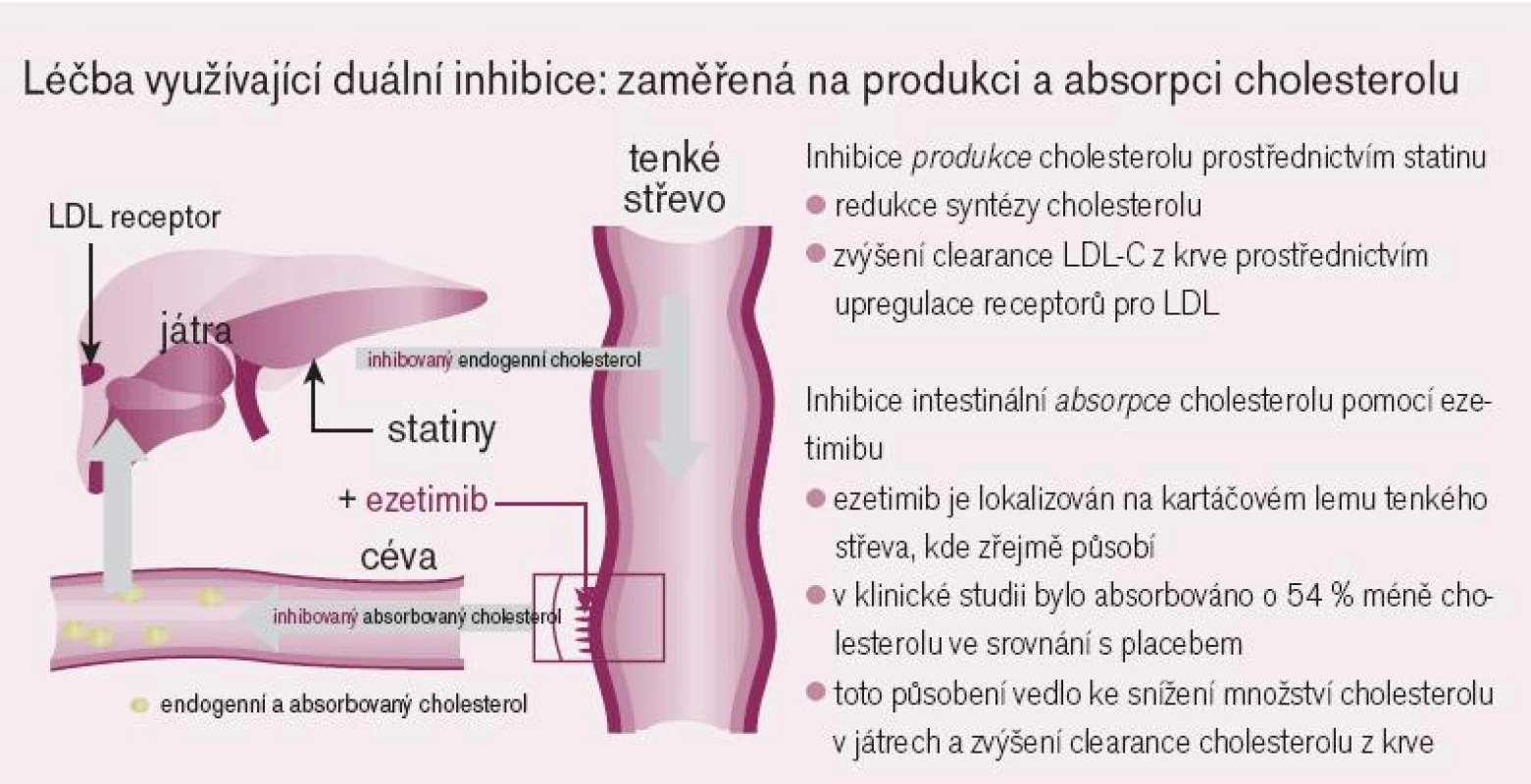 Duální inhibice – mechanizmus působení kombinace statinu a ezetimibu.