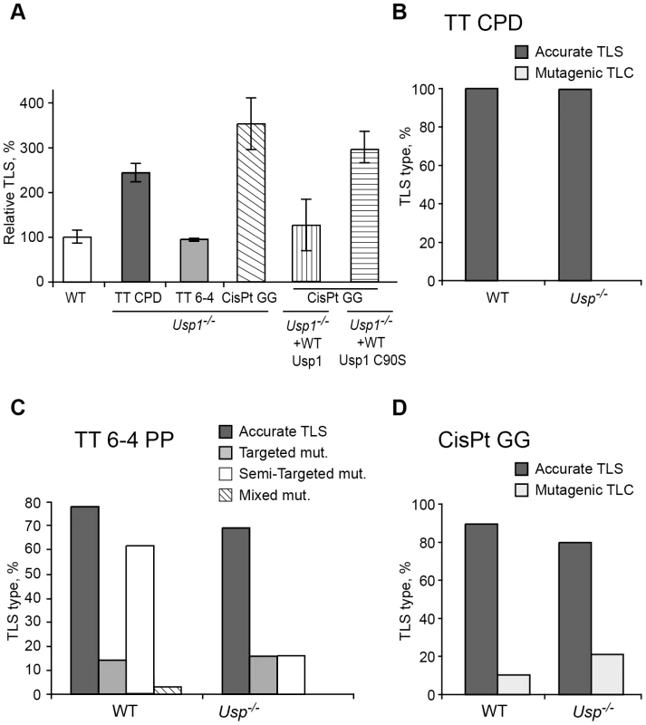 TLS in <i>Usp1<sup>−/−</sup></i> mouse embryo fibroblasts.