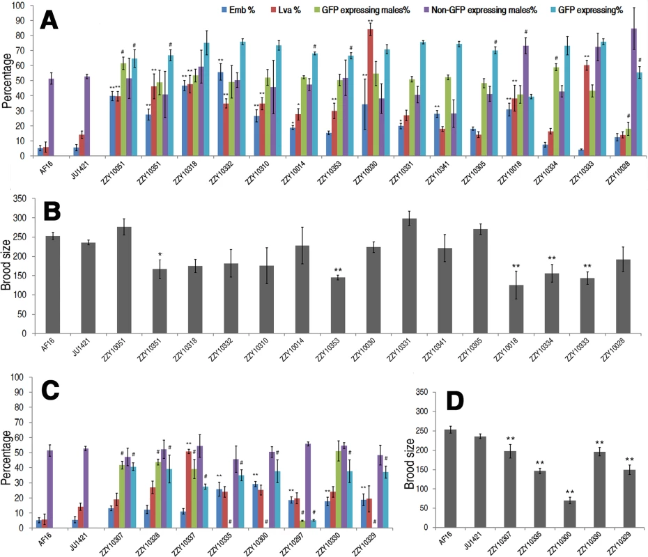 Hybrid incompatible phenotypes for autosome- or X-linked heterozygous introgressions between <i>C. briggsae</i> and <i>C. nigoni</i>.