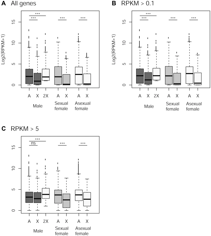 Expression rate of X-linked and autosomal genes in males, sexual females and asexual females.