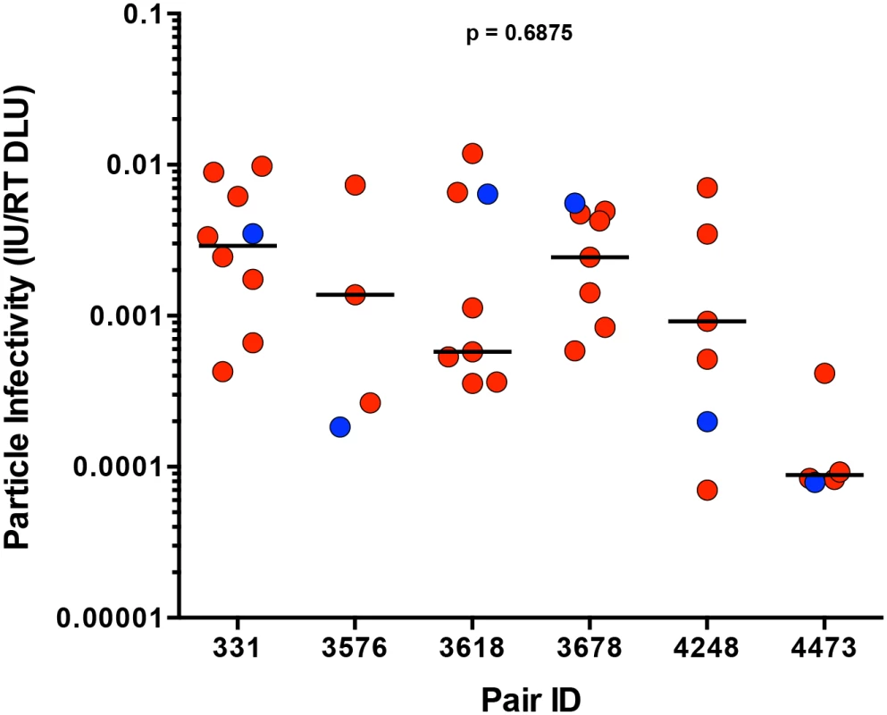 Particle infectivity of TF and NT infectious molecular clones.