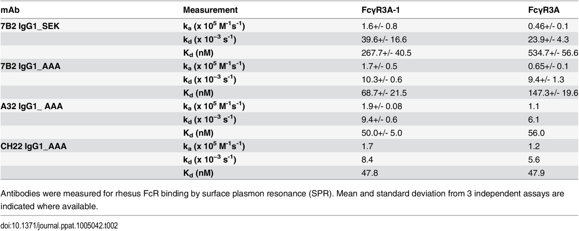 Binding rate constants and affinities of rhesus FcγR3 binding to mAbs.