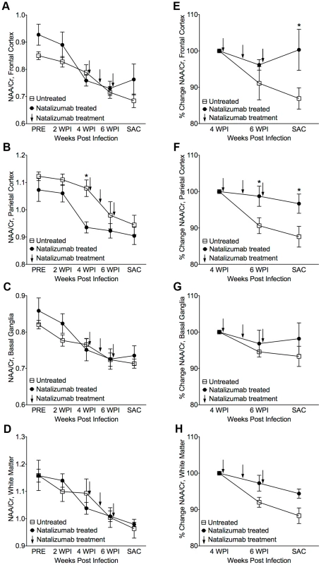 Stabilization of neuronal injury in SIV-infected animals following natalizumab treatment.