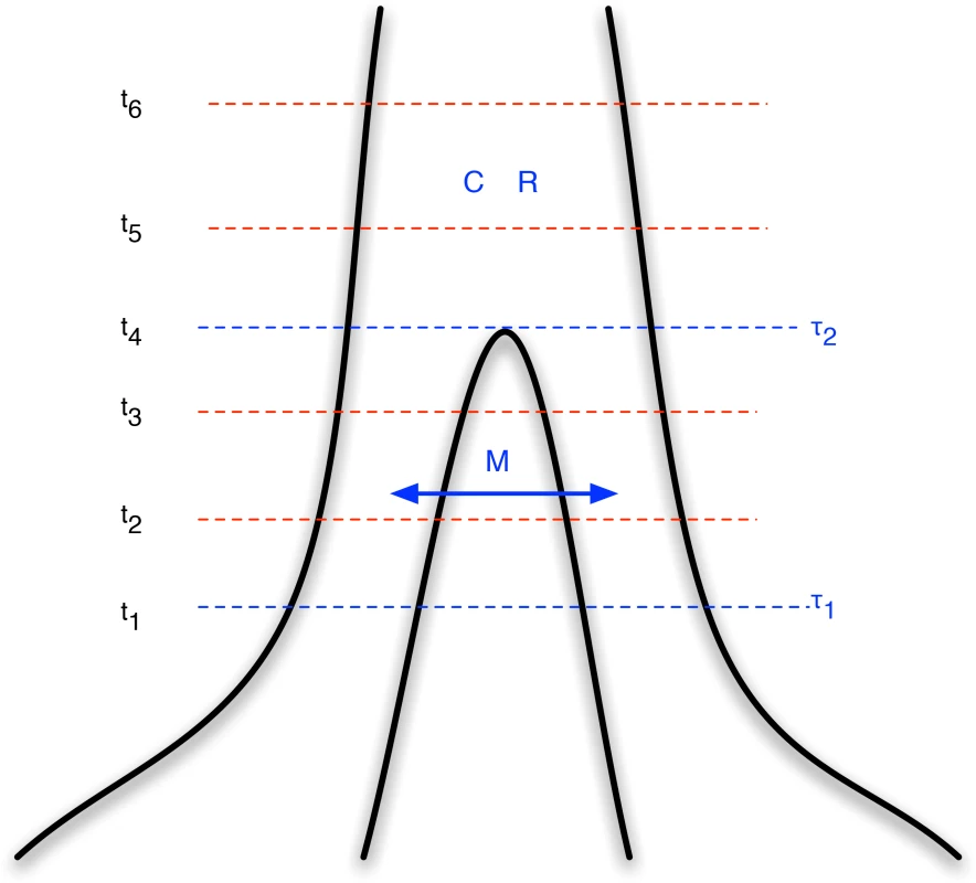 Isolation-with-migration model.